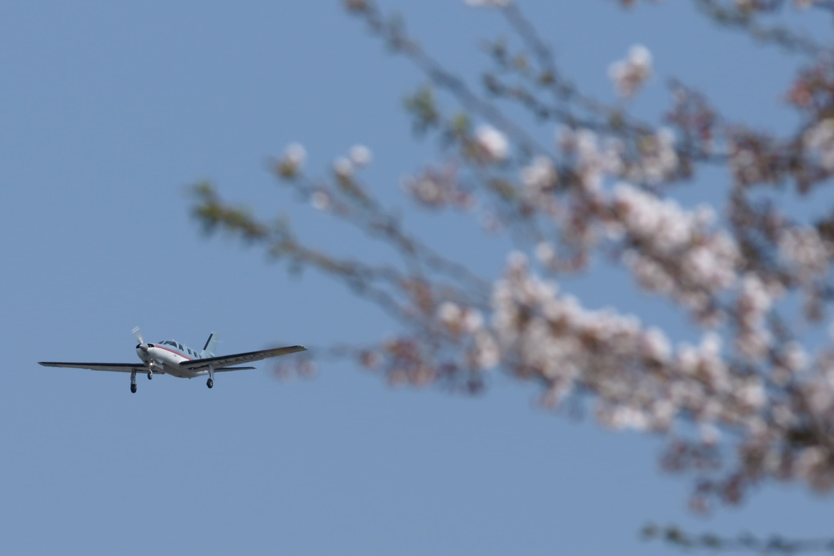 20210314_092400_enc_[dsc06082_(2)].jpg